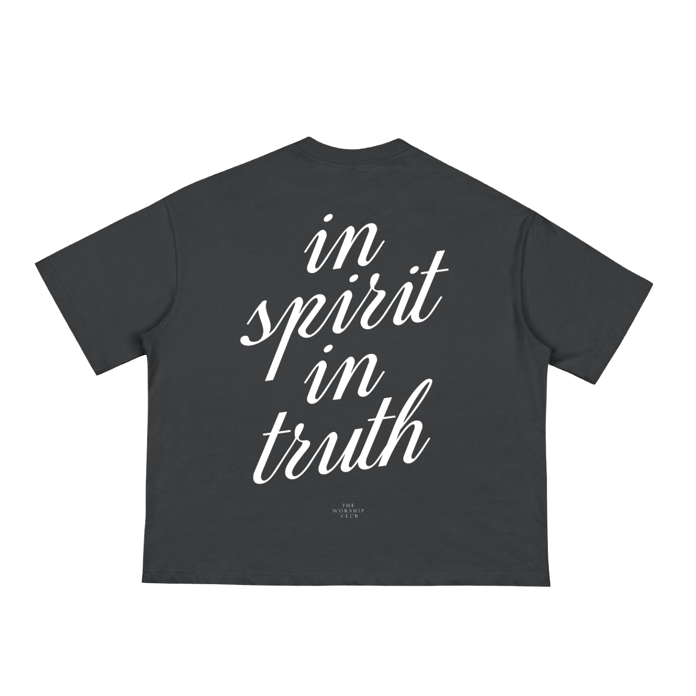 IN SPIRIT IN TRUTH Boxy Tee